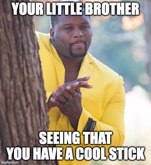 Black guy hiding behind tree | YOUR LITTLE BROTHER; SEEING THAT YOU HAVE A COOL STICK | image tagged in black guy hiding behind tree | made w/ Imgflip meme maker