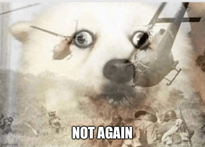 PTSD dog | NOT AGAIN | image tagged in ptsd dog | made w/ Imgflip meme maker