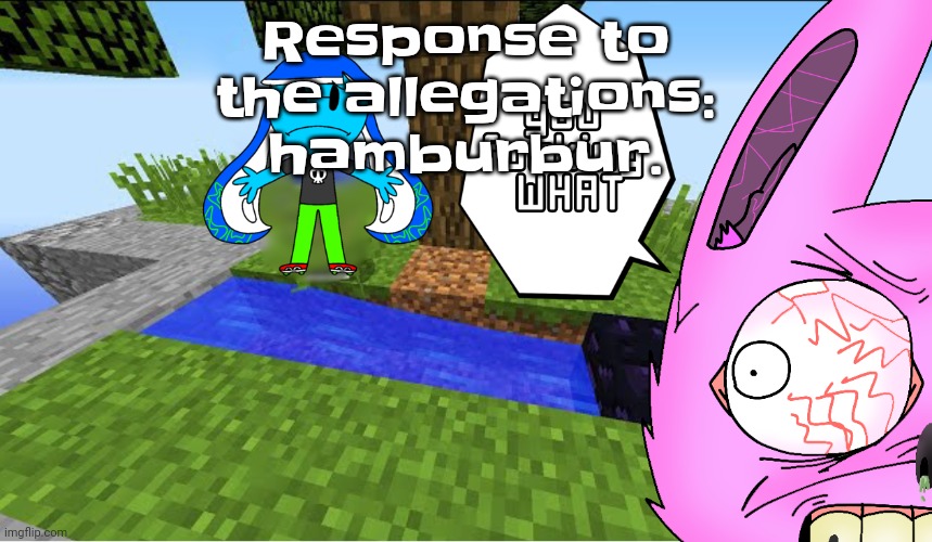 Top 10 minecraft fails | Response to the allegations: hamburbur. | image tagged in top 10 minecraft fails | made w/ Imgflip meme maker