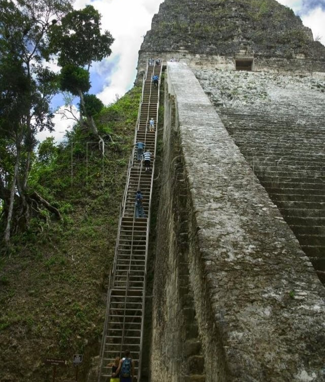 STAIRS!!! Blank Meme Template