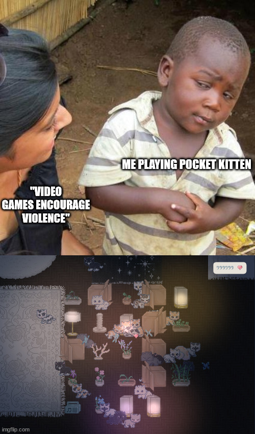 ME PLAYING POCKET KITTEN; "VIDEO GAMES ENCOURAGE VIOLENCE" | image tagged in memes,third world skeptical kid | made w/ Imgflip meme maker