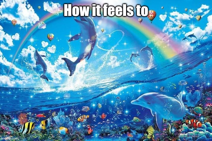 Happy dolphin rainbow | How it feels to | image tagged in happy dolphin rainbow | made w/ Imgflip meme maker