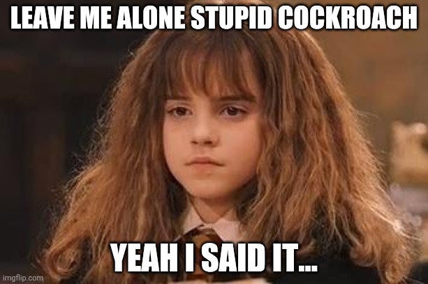 Harry Potter - Miss Granger is NOT amused | LEAVE ME ALONE STUPID COCKROACH; YEAH I SAID IT... | image tagged in harry potter - miss granger is not amused,mad | made w/ Imgflip meme maker