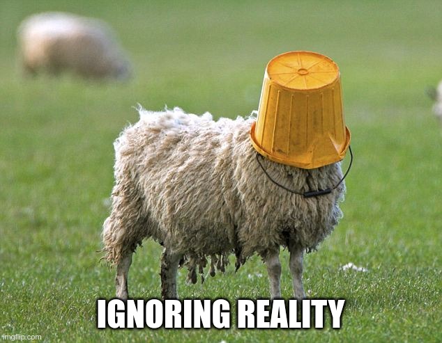 Bucket = Internet | IGNORING REALITY | image tagged in stupid sheep | made w/ Imgflip meme maker