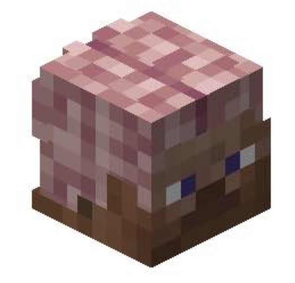 Minecraft Brain Blank Meme Template