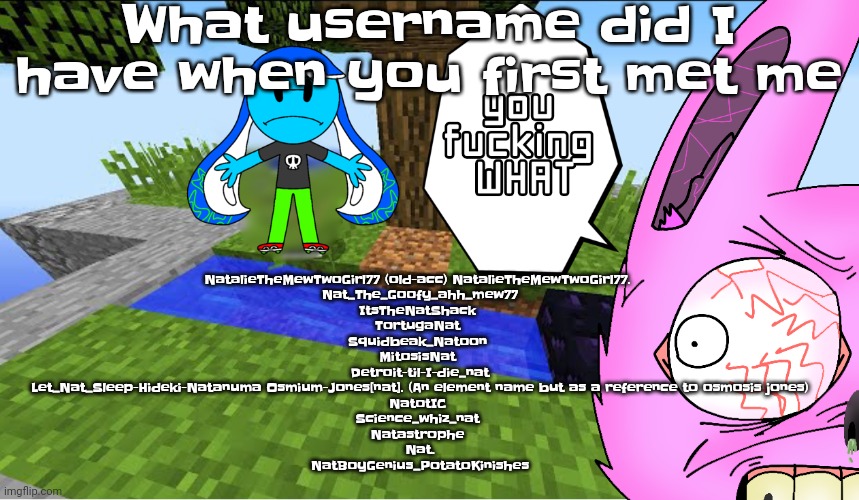 If you can't read they'll be in comments | NatalieTheMewTwoGirl77 (old-acc) NatalieTheMewTwoGirl77. 
Nat_The_Goofy_ahh_mew77
ItsTheNatShack 
TortugaNat 
Squidbeak_Natoon 
MitosisNat 
Detroit-til-I-die_nat
 Let_Nat_Sleep-Hideki-Natanuma Osmium-Jones[nat]. (An element name but as a reference to osmosis jones) 
NatotIC 
Science_whiz_nat 
Natastrophe 
Nat.
NatBoyGenius_PotatoKinishes; What username did I have when you first met me | image tagged in top 10 minecraft fails | made w/ Imgflip meme maker