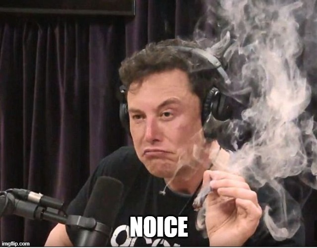 Elon Musk smoking a joint | NOICE | image tagged in elon musk smoking a joint | made w/ Imgflip meme maker