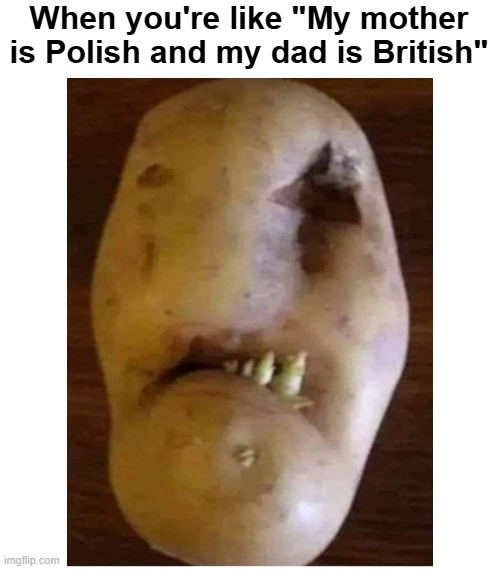 When you're like "My mother is Polish and my dad is British" | image tagged in polish,british,funny | made w/ Imgflip meme maker