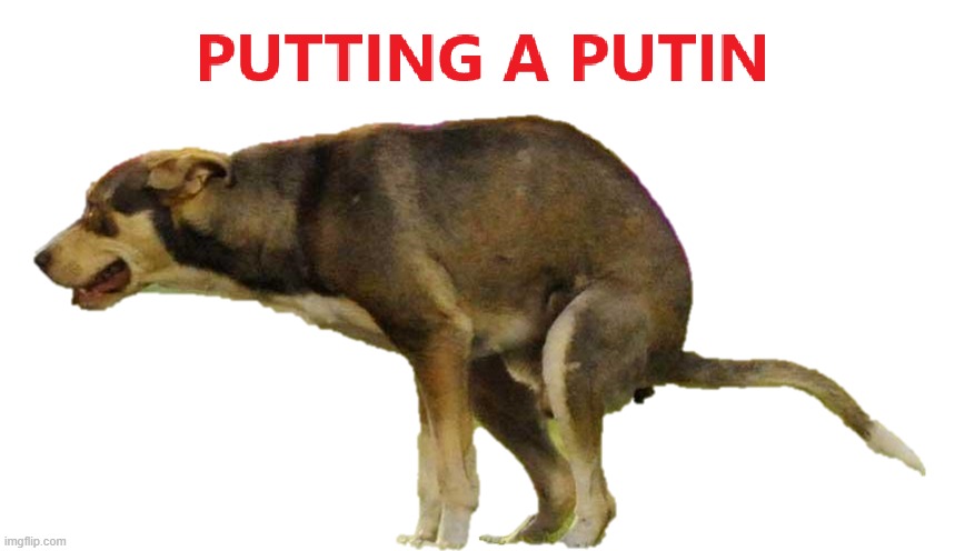 Putting a Putin | image tagged in putin | made w/ Imgflip meme maker