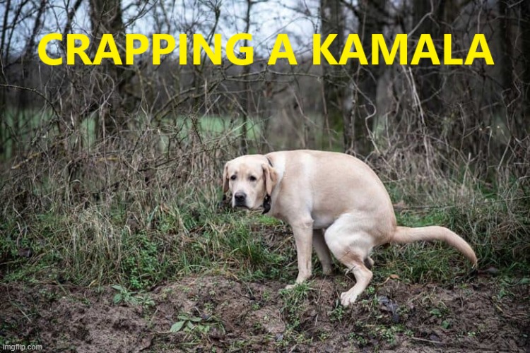 Crapping a Kamala | image tagged in kamala harris | made w/ Imgflip meme maker