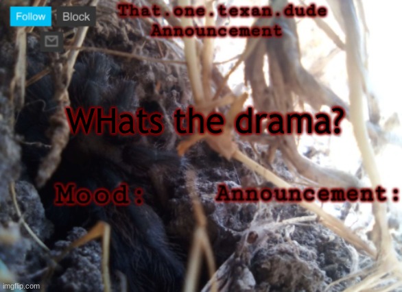 THE that.one.texan.dude announcement template | WHats the drama? | image tagged in the that one texan dude announcement template | made w/ Imgflip meme maker
