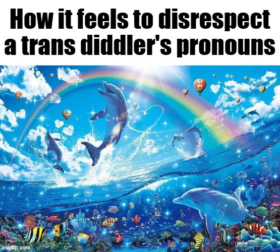 Happy dolphin rainbow | How it feels to disrespect a trans diddler's pronouns | image tagged in happy dolphin rainbow | made w/ Imgflip meme maker