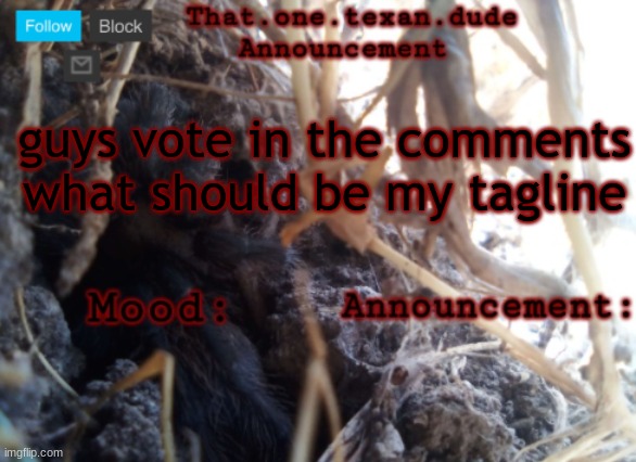 Upvote the comment that you want to be my tagline, only those three | guys vote in the comments what should be my tagline | image tagged in the that one texan dude announcement template | made w/ Imgflip meme maker