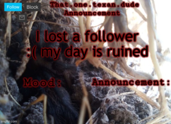 THE that.one.texan.dude announcement template | I lost a follower :( my day is ruined | image tagged in the that one texan dude announcement template | made w/ Imgflip meme maker