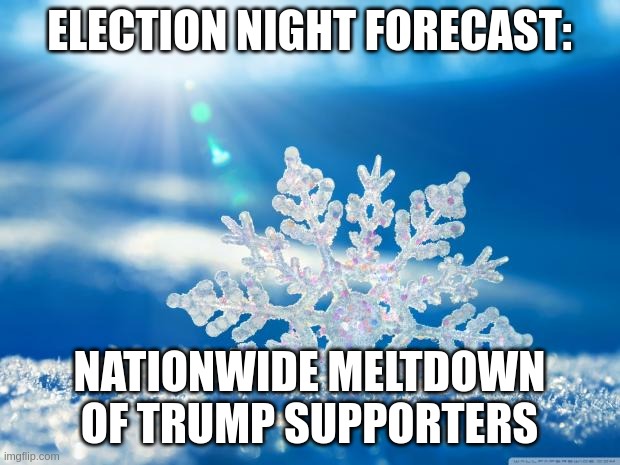 Maga Meltdown | ELECTION NIGHT FORECAST:; NATIONWIDE MELTDOWN OF TRUMP SUPPORTERS | image tagged in snowflake,maga,trump | made w/ Imgflip meme maker