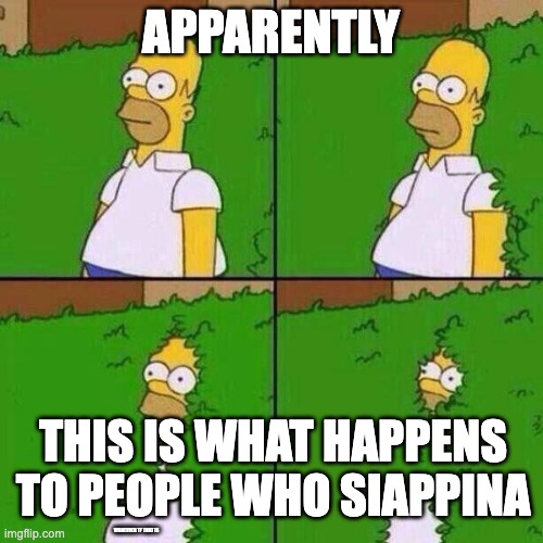 homer bushes | APPARENTLY THIS IS WHAT HAPPENS TO PEOPLE WHO SIAPPINA WHATEVER TF THAT IS | image tagged in homer bushes | made w/ Imgflip meme maker