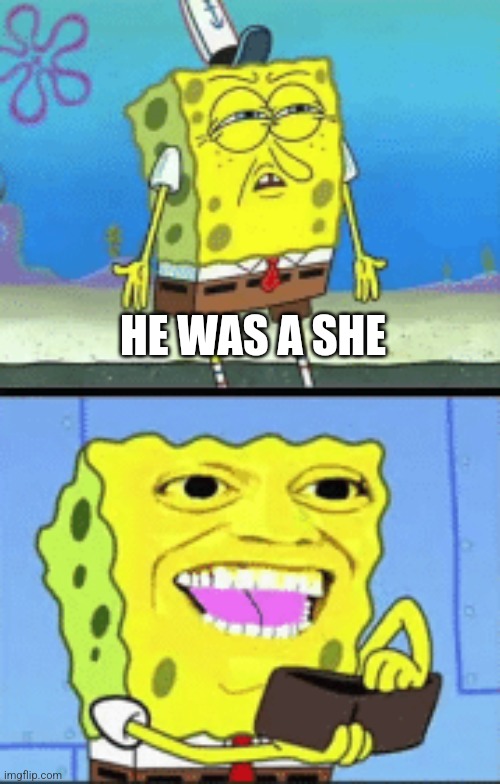 Spongebob money | HE WAS A SHE | image tagged in spongebob money | made w/ Imgflip meme maker