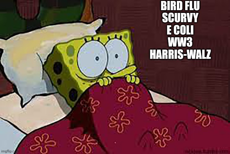 Scared Sponge Bob | BIRD FLU
SCURVY
E COLI
WW3
HARRIS-WALZ | image tagged in scared sponge bob | made w/ Imgflip meme maker