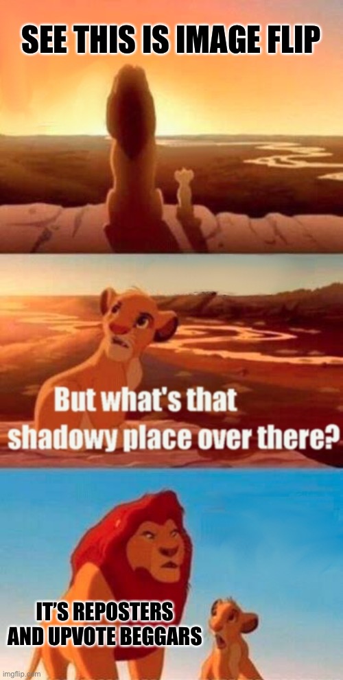 The Dark Side | SEE THIS IS IMAGE FLIP; IT’S REPOSTERS AND UPVOTE BEGGARS | image tagged in memes,simba shadowy place | made w/ Imgflip meme maker