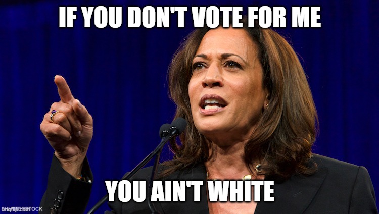 kamala harris | IF YOU DON'T VOTE FOR ME; YOU AIN'T WHITE | image tagged in kamala harris | made w/ Imgflip meme maker