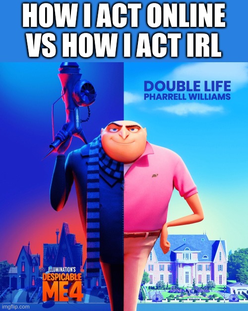 Double Life | HOW I ACT ONLINE VS HOW I ACT IRL | image tagged in double life | made w/ Imgflip meme maker