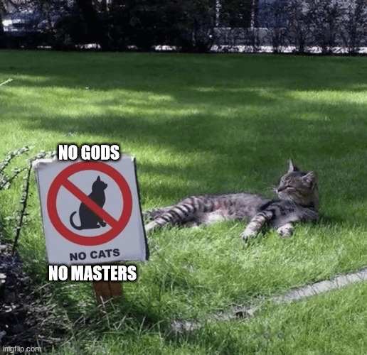 No Gods, No Masters, No Cats | NO GODS; NO MASTERS | image tagged in no gods no masters no cats | made w/ Imgflip meme maker