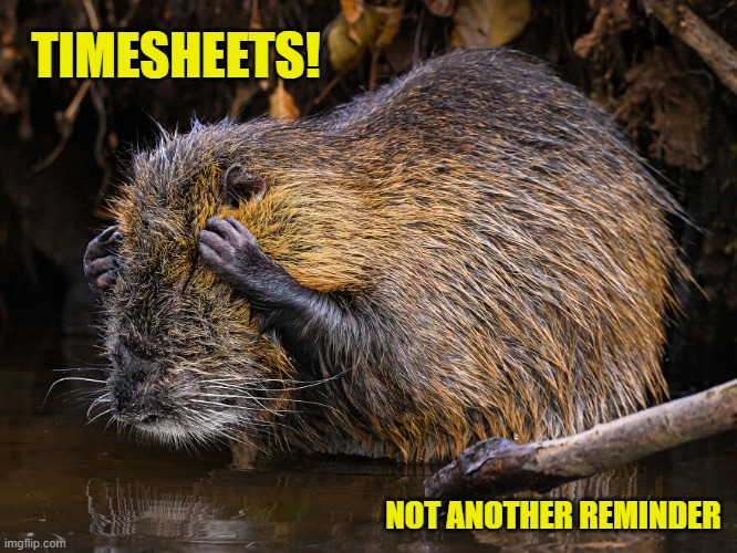 Nutria Timesheet reminder | TIMESHEETS! NOT ANOTHER REMINDER | image tagged in nutria timesheet reminder,timesheet reminder,timesheet meme,memes,nutria | made w/ Imgflip meme maker