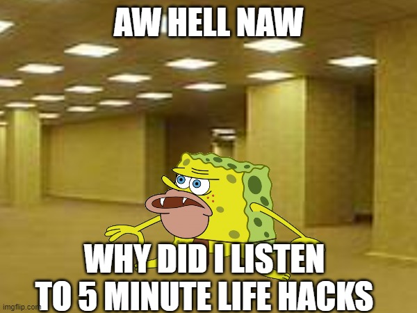 AW HELL NAW; WHY DID I LISTEN TO 5 MINUTE LIFE HACKS | made w/ Imgflip meme maker