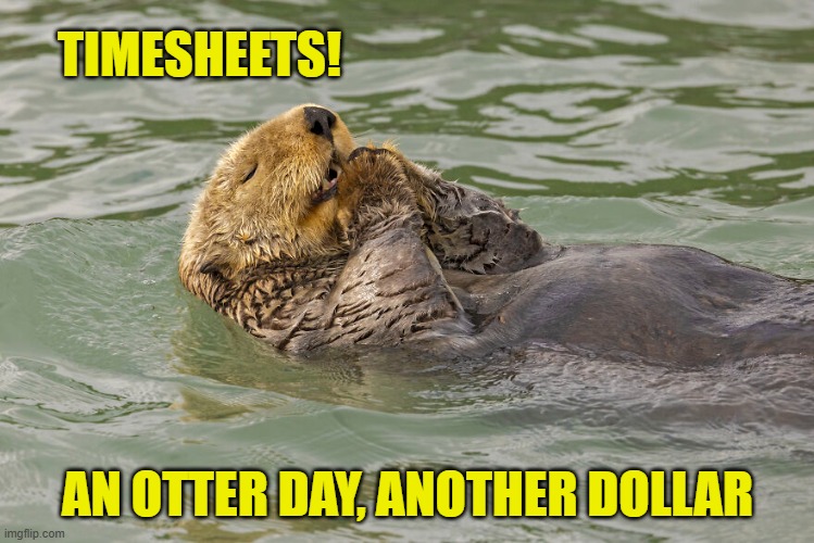 Otter Timesheet Reminder | TIMESHEETS! AN OTTER DAY, ANOTHER DOLLAR | image tagged in otter timesheet reminder,otter timesheet meme,timesheet memes,memes | made w/ Imgflip meme maker