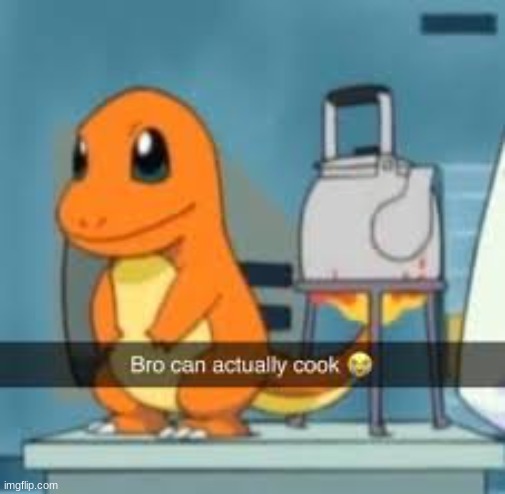 bro can actually cook | image tagged in bro can actually cook | made w/ Imgflip meme maker