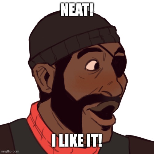 demoman pog | NEAT! I LIKE IT! | image tagged in demoman pog | made w/ Imgflip meme maker