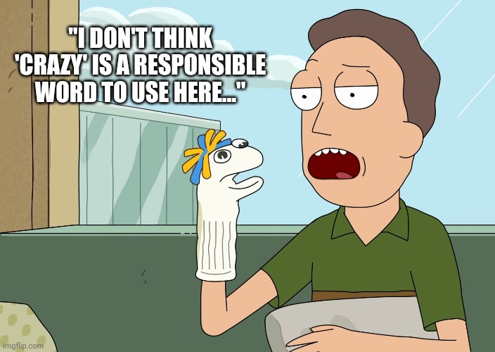 Therapy Puppet Jerry | "I DON'T THINK 'CRAZY' IS A RESPONSIBLE WORD TO USE HERE..." | image tagged in rickandmorty,wubba lubba dub dub,therapy | made w/ Imgflip meme maker