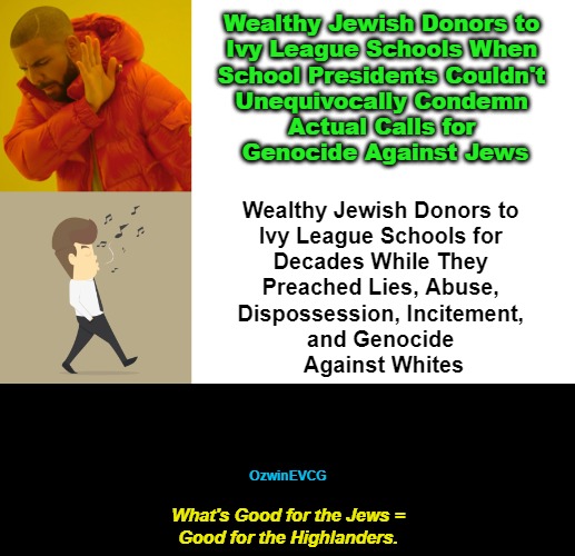 3V WGFTJEGFTH 3V | Wealthy Jewish Donors to 

Ivy League Schools When 

School Presidents Couldn't 

Unequivocally Condemn 

Actual Calls for 

Genocide Against Jews; Wealthy Jewish Donors to 

Ivy League Schools for 

Decades While They 

Preached Lies, Abuse, 

Dispossession, Incitement, 

and Genocide 

Against Whites; OzwinEVCG; What's Good for the Jews =

Good for the Highlanders. | image tagged in jews,ivy league,antiwhite,double standard,say what,say what again | made w/ Imgflip meme maker