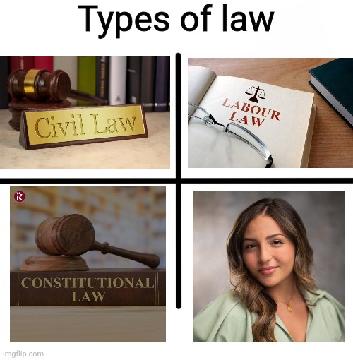 Yulan Law | Types of law | image tagged in memes,blank starter pack,malta,jesc,singer,law | made w/ Imgflip meme maker