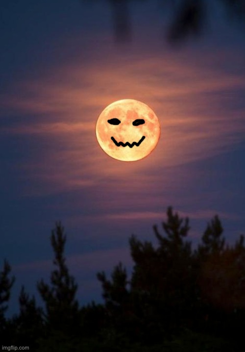 Full Moon | image tagged in full moon,halloween,pumpkin,holidays | made w/ Imgflip meme maker