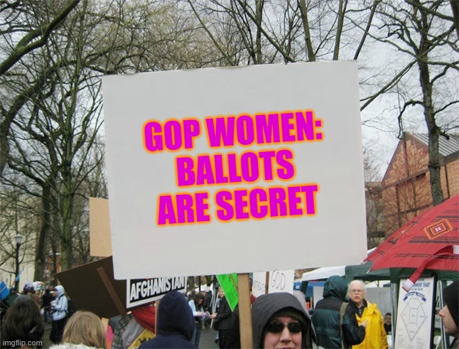 GOP WOMEN: BALLOTS ARE SECRET | GOP WOMEN: BALLOTS ARE SECRET | image tagged in blank protest sign | made w/ Imgflip meme maker