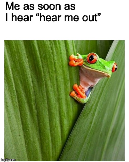 Frog peeking out from leaf | Me as soon as I hear “hear me out” | image tagged in frog peeking out from leaf | made w/ Imgflip meme maker