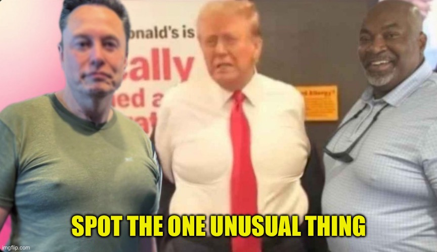 Moobs of Musk, Trump. and Robinson | SPOT THE ONE UNUSUAL THING | image tagged in moobs of elon trump and robinson | made w/ Imgflip meme maker