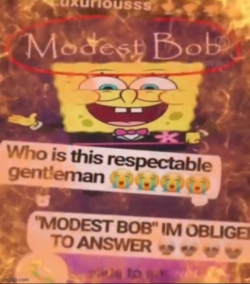 im obliged to answer | image tagged in gifs,memes,funny,shitpost,spongebob,oh wow are you actually reading these tags | made w/ Imgflip meme maker