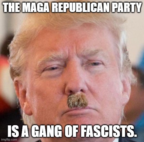 TRUMP HITLER | THE MAGA REPUBLICAN PARTY; IS A GANG OF FASCISTS. | image tagged in trump hitler | made w/ Imgflip meme maker