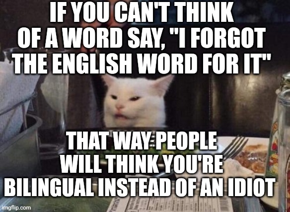 Smudge that darn cat | IF YOU CAN'T THINK OF A WORD SAY, "I FORGOT THE ENGLISH WORD FOR IT"; THAT WAY PEOPLE WILL THINK YOU'RE BILINGUAL INSTEAD OF AN IDIOT | image tagged in smudge that darn cat | made w/ Imgflip meme maker