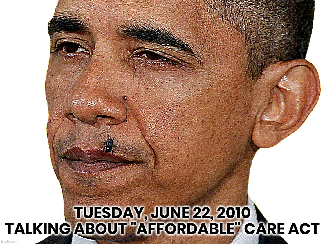 FLY SIGNALS STINK PLAN | TUESDAY, JUNE 22, 2010
TALKING ABOUT "AFFORDABLE" CARE ACT | image tagged in obama,fly,obamacare,face,mouth,lips | made w/ Imgflip meme maker