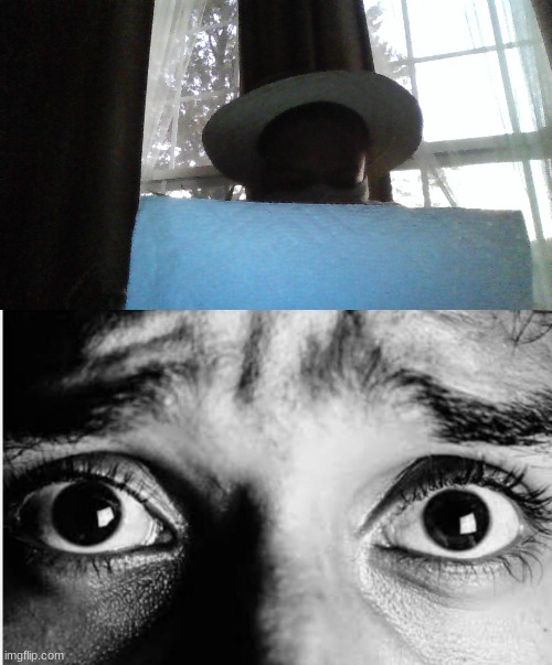 image tagged in unnerved stare | made w/ Imgflip meme maker