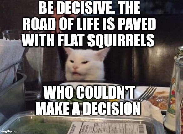 Smudge that darn cat | BE DECISIVE. THE ROAD OF LIFE IS PAVED WITH FLAT SQUIRRELS; WHO COULDN'T MAKE A DECISION | image tagged in smudge that darn cat | made w/ Imgflip meme maker