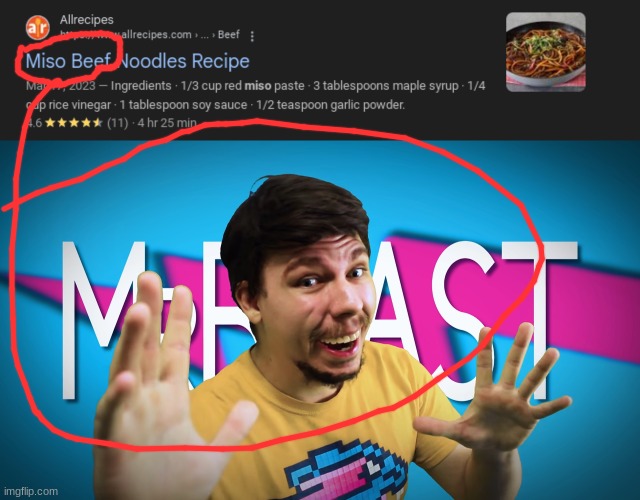 MISO BEEF | image tagged in mr beasssst | made w/ Imgflip meme maker