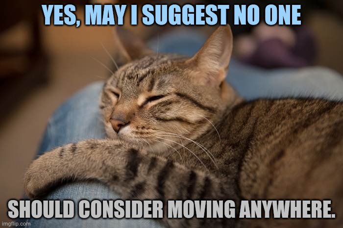 YES, MAY I SUGGEST NO ONE SHOULD CONSIDER MOVING ANYWHERE. | made w/ Imgflip meme maker