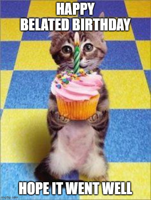 HAPPY BELATED BIRTHDAY HOPE IT WENT WELL | image tagged in happy birthday cat | made w/ Imgflip meme maker