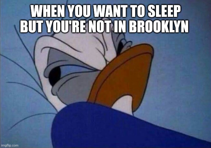 No sleep till Brooklyn | WHEN YOU WANT TO SLEEP BUT YOU'RE NOT IN BROOKLYN | image tagged in angry donald duck,beastie boys | made w/ Imgflip meme maker