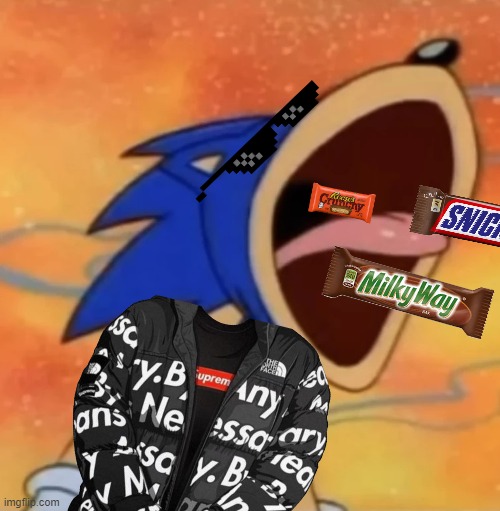 Halloween in a nutshell | image tagged in sonic scream | made w/ Imgflip meme maker