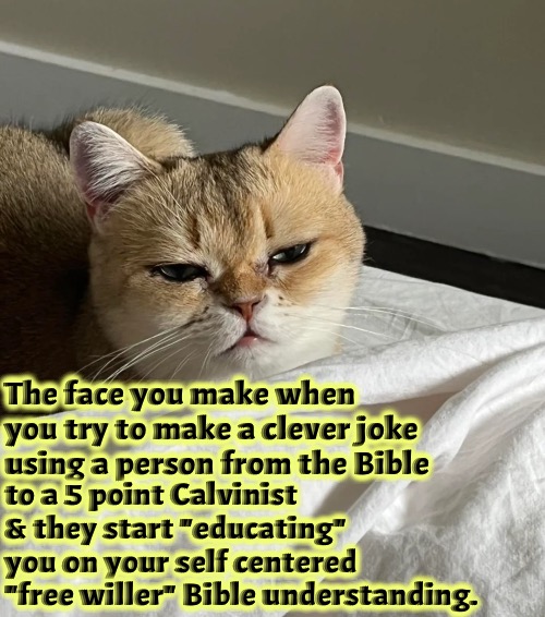 Free Willer Understanding | The face you make when you try to make a clever joke using a person from the Bible; to a 5 point Calvinist & they start "educating" you on your self centered "free willer" Bible understanding. | image tagged in calvinism,reformed theology 4 and 5 point calvinists,theological snobs,arminian,molinism,pharisee preachers | made w/ Imgflip meme maker